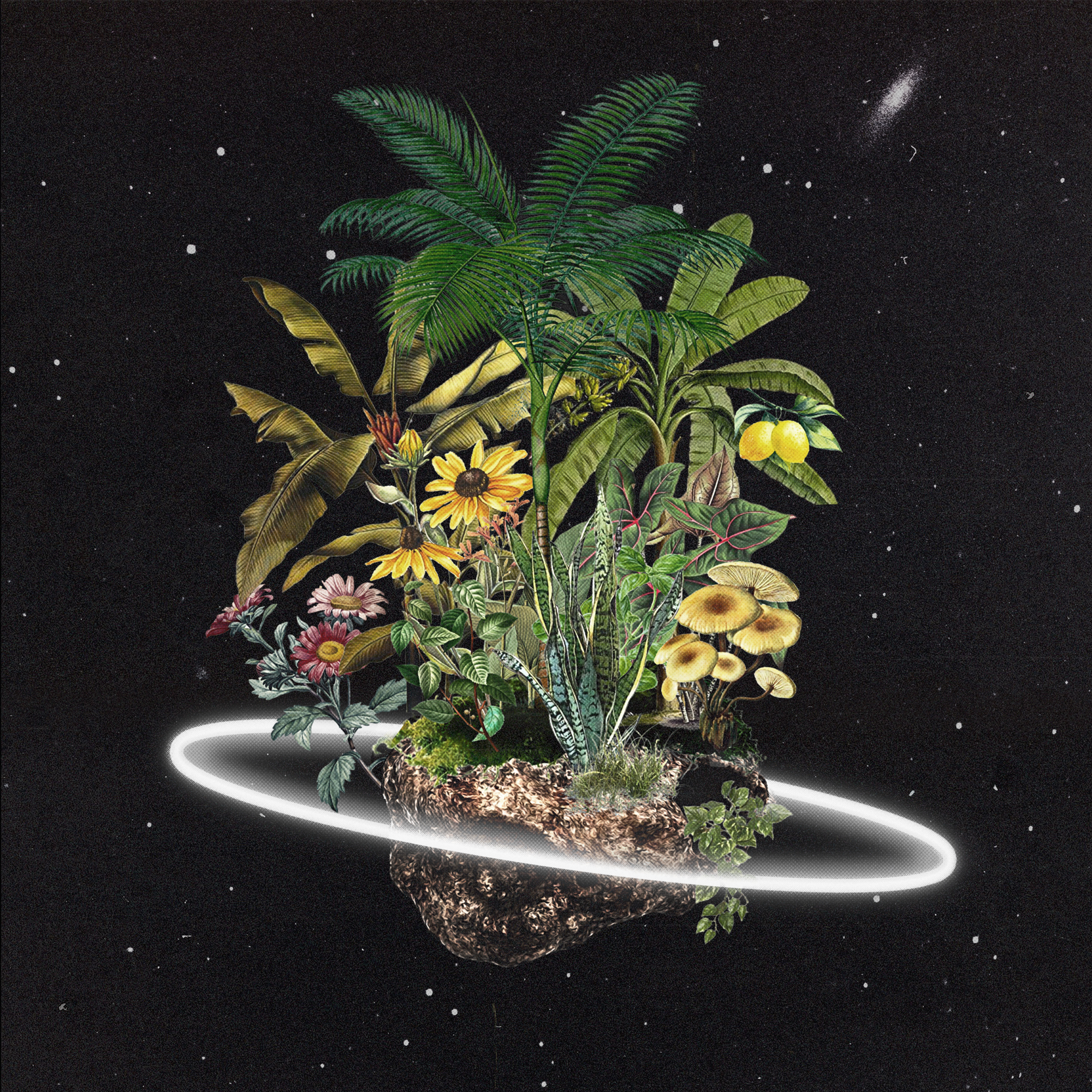 COSMIC_GARDENS_FRONT